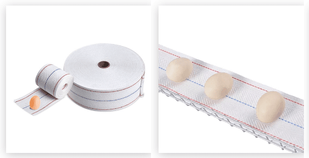 Egg Conveyor Belt manufacturer Egg Conveyor Belt price in India