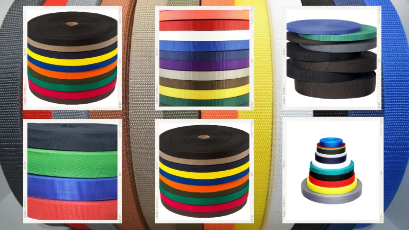 Looking for Polypropylene Webbing Manufacturer in India