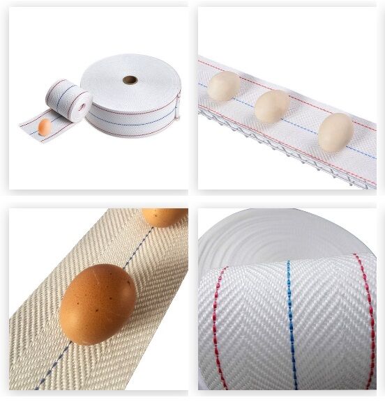 Egg conveyor belt Manufacturer Egg conveyor belt Manufacturer